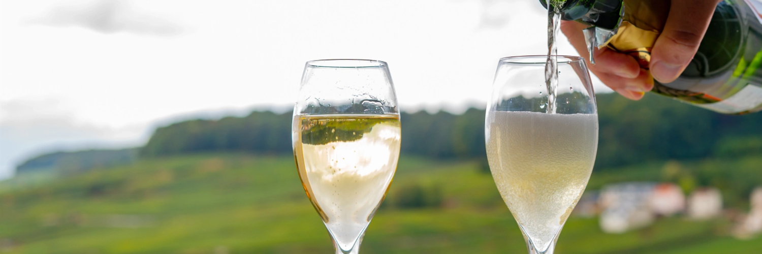 (COPY) GASTRO CHAMPAGNE 1500x500 px